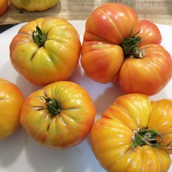 Big Rainbow Tomato Seeds for Planting producing large golden-yellow beefsteak tomatoes with beautiful red and orange marbled flesh