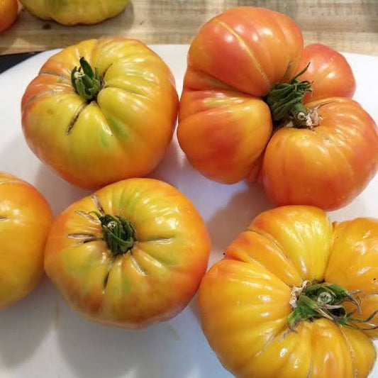 Big Rainbow Tomato Seeds for Planting producing large golden-yellow beefsteak tomatoes with beautiful red and orange marbled flesh