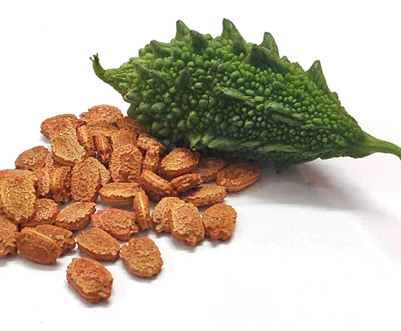Bitter Gourd Vegetable Seeds for Planting – Heirloom Non-GMO Garden Seeds