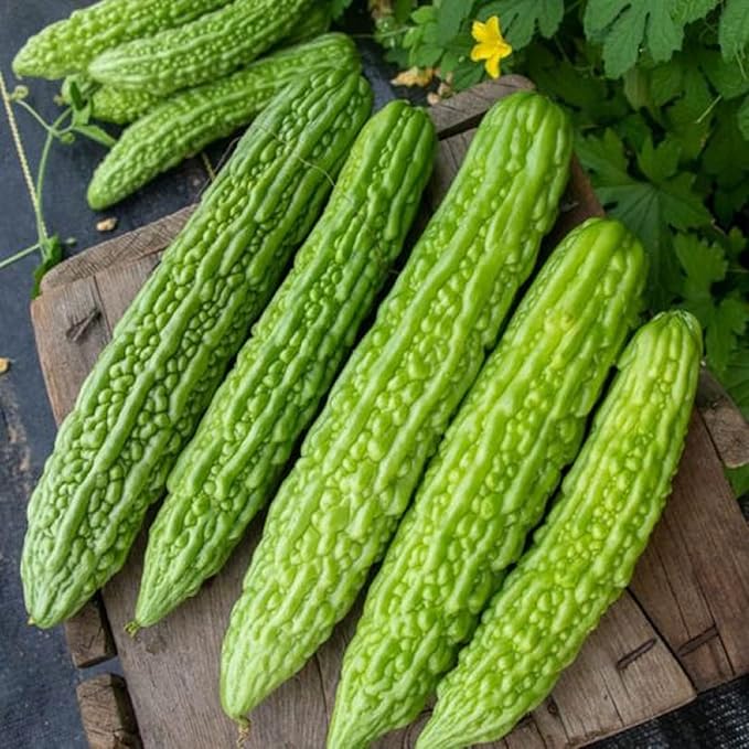 Bitter Gourd Seeds
