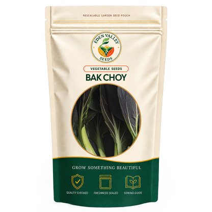 Black Bok Choy Seeds for planting