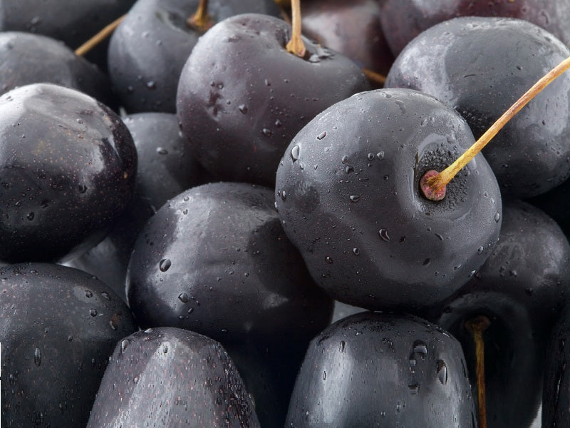 Black cherry fruit seeds for planting – Prunus serotina tree seeds