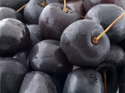 Black cherry fruit seeds for planting – Prunus serotina tree seeds