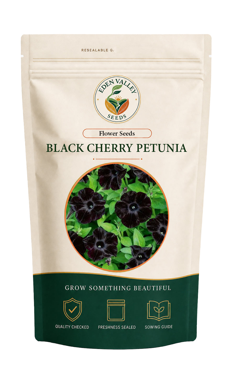 Black Cherry Petunia Flower Seeds for home gardens