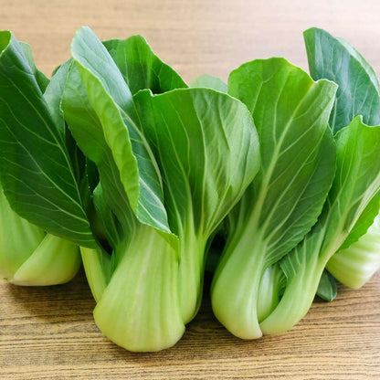 Heirloom Black Bok Choy Growing in Raised Garden Bed