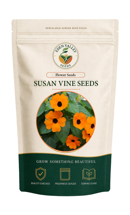 Black Eyed Susan Vine Flower Seeds for home gardens