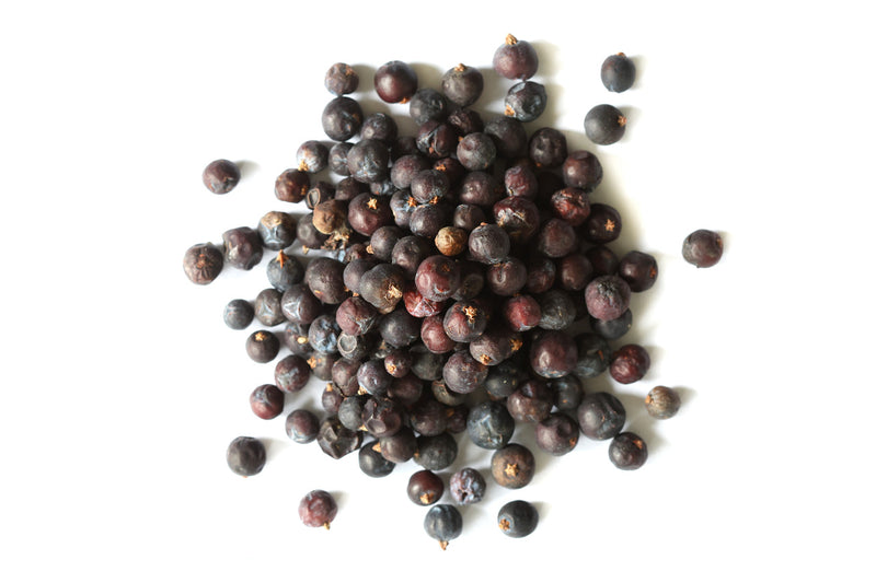 Black Juniper Berry Seeds for Planting – Heirloom Non-GMO Garden Seeds