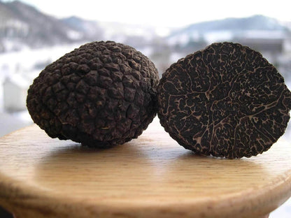 Black Mushroom Seeds