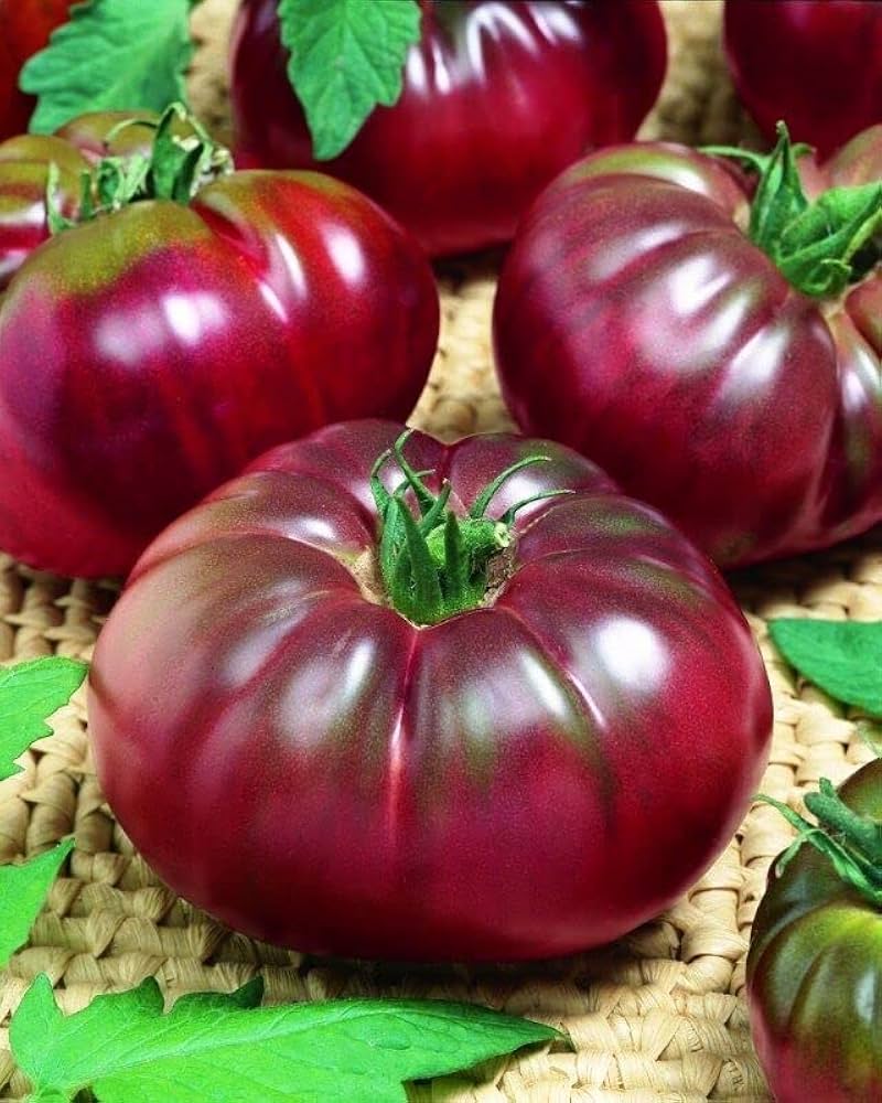 Black Tomato Seeds for Planting – Heirloom Garden Seeds