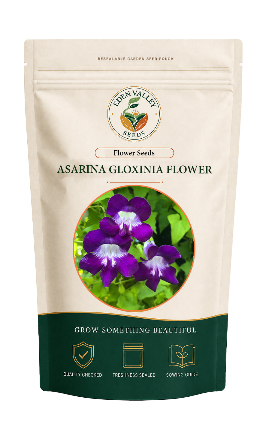 Blue Asarina Gloxina Flower Seeds for home gardens