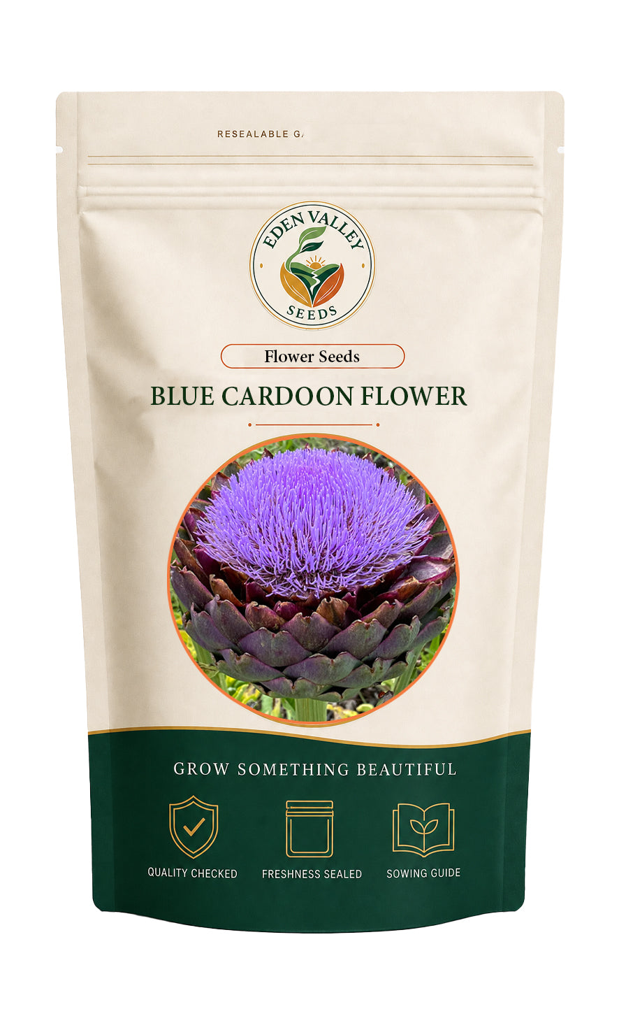 Blue Cardoon Flower Seeds for planting