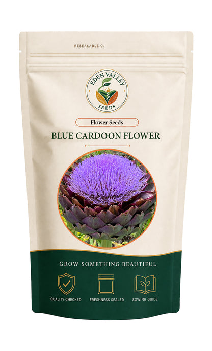 Blue Cardoon Flower Seeds for planting