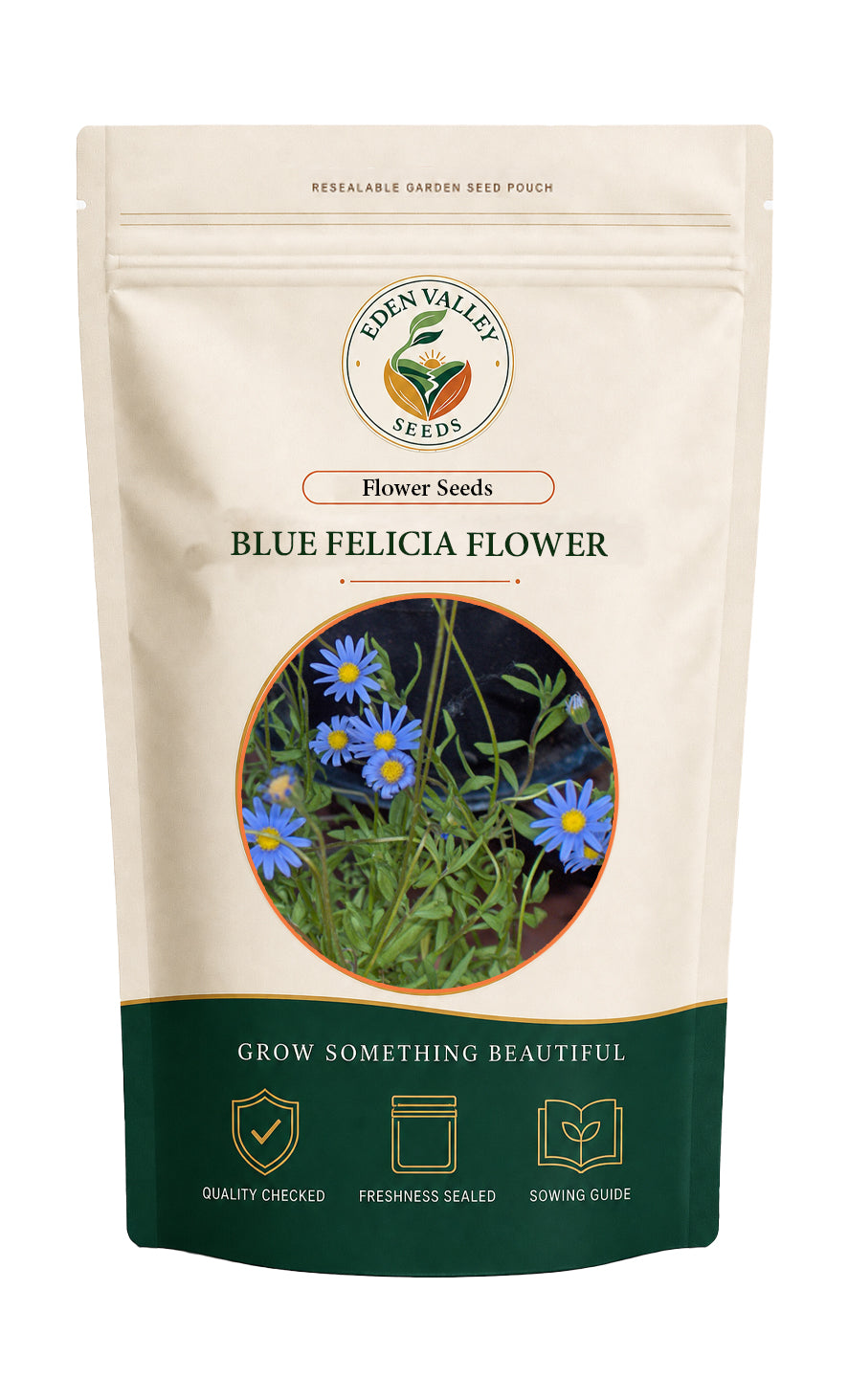 Blue Felicia flowers blooming in a garden