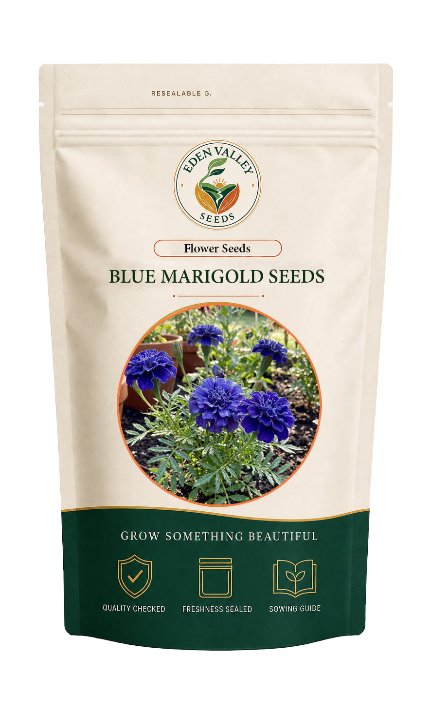 Blue Marigold Flower Seeds for home gardens