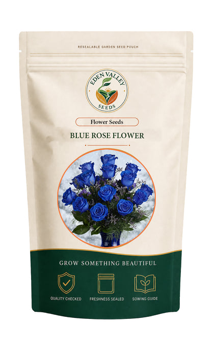 Blue Rose flowering plant in a garden