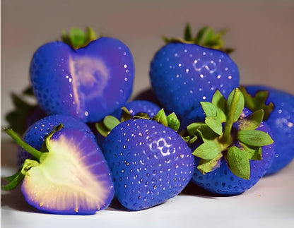 Blue Strawberry Fruit Seeds for Planting – Heirloom Non-GMO Garden Seeds