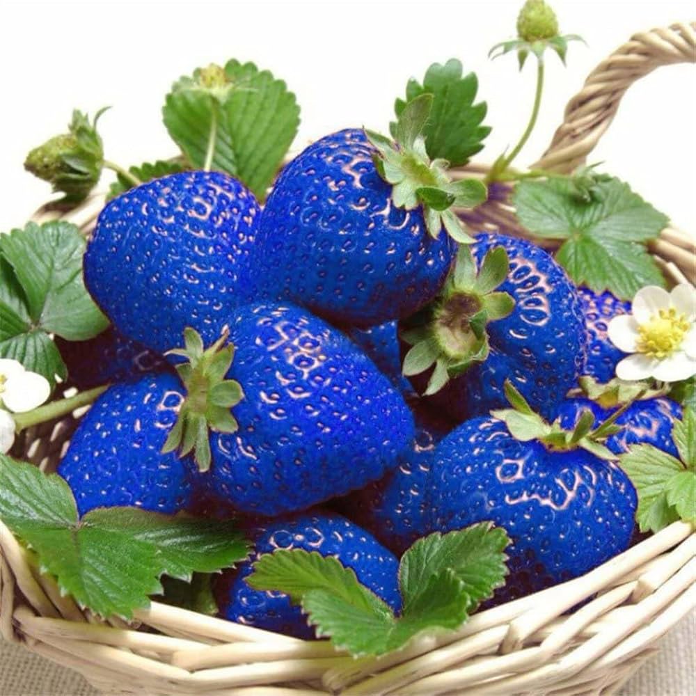 blue strawberry seeds