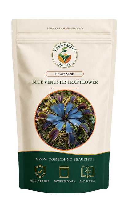 Blue Venus Fly Trap Flower Seeds for home gardens