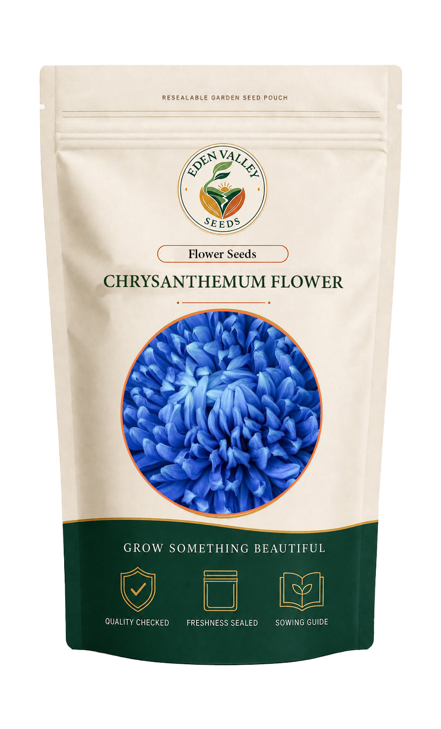Blue Violet Chrysanthemum Flower Seeds for planting