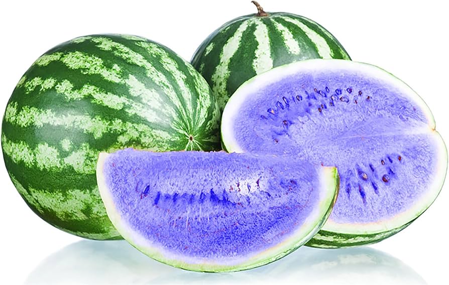 blue watermelon seeds