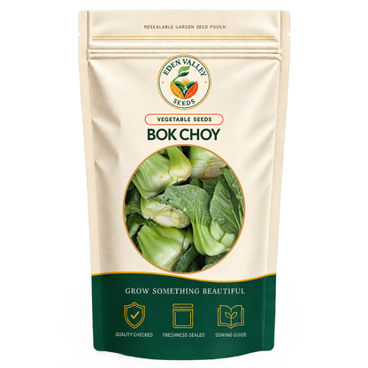 Bok Choy plants growing in a vegetable garden