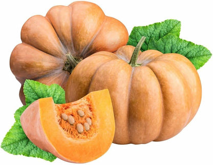 Bonsai Pumpkin Seeds