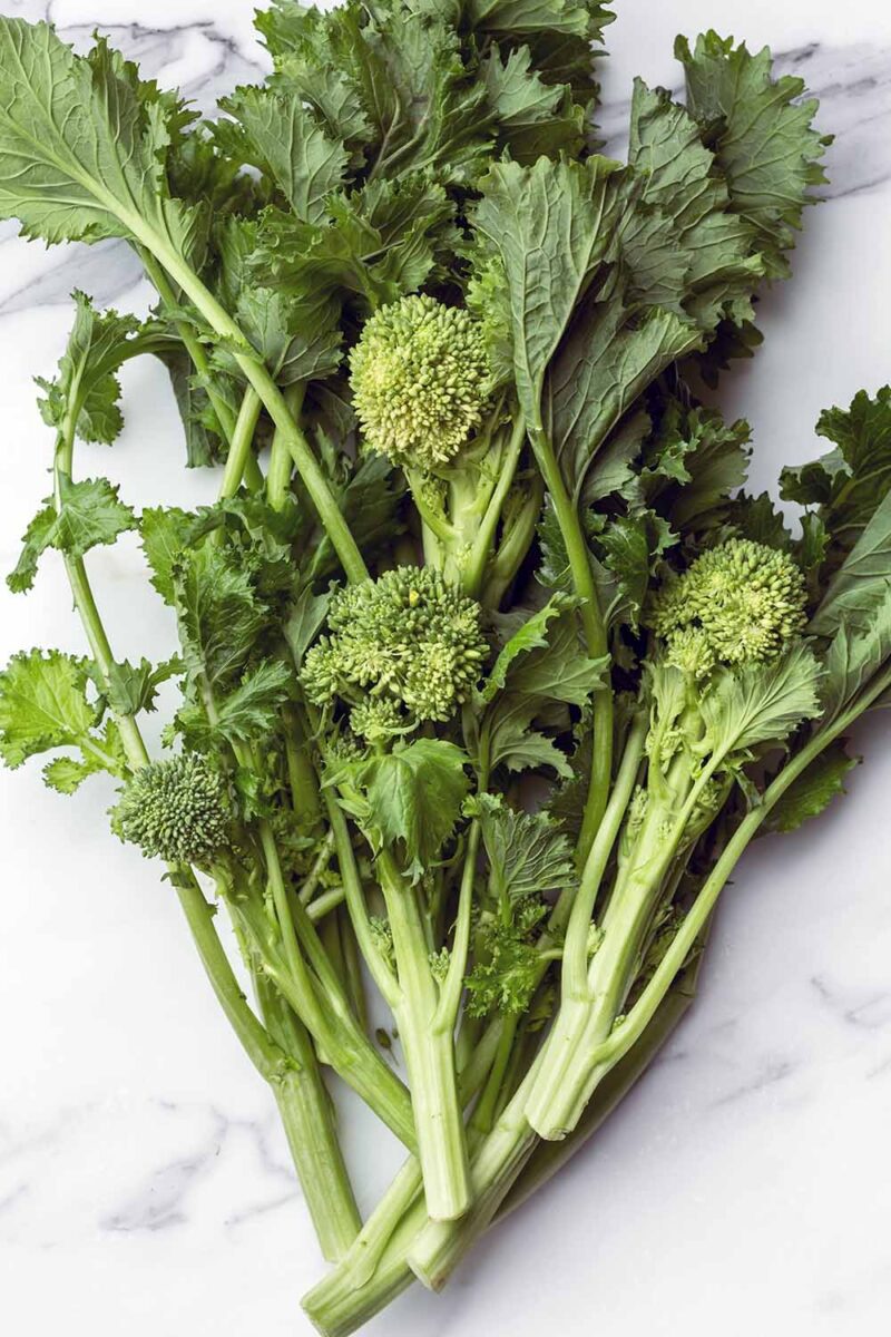 Broccoli raab rapini vegetable plants with lush green leaves, tender edible stems, and small yellow flower buds growing in a home vegetable garden.