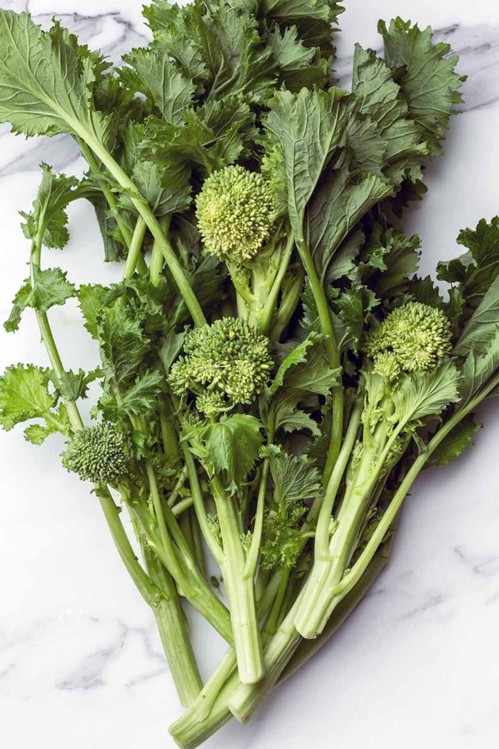 Broccoli raab rapini vegetable plants with lush green leaves, tender edible stems, and small yellow flower buds growing in a home vegetable garden.