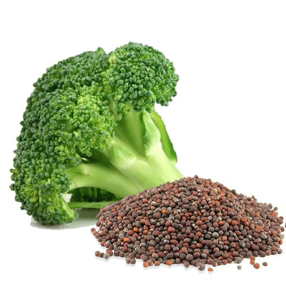 Broccoli Garden Seeds
