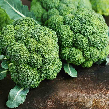 Broccoli Seeds