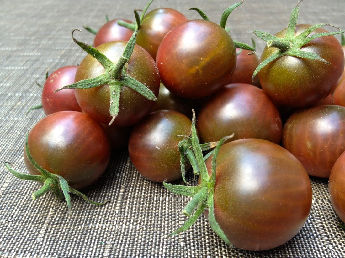 Brown Flesh Tomato Seeds