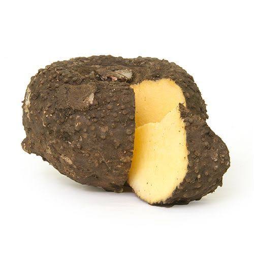 Brown Yam Bean Seeds for planting with jicama roots and vigorous green vines