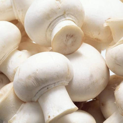 Brown Mushroom Seeds