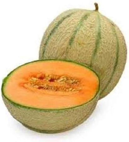 Brown Muskmelon Fruit Seeds for Planting