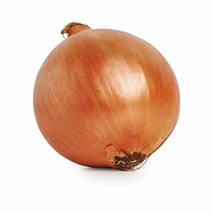 Brown Onion Vegetable Seeds for Planting – Bulb Onion Seeds for Home Vegetable Gardens