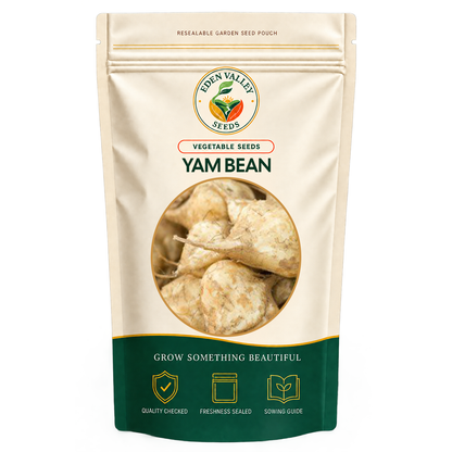 Brown Yam Bean Seeds for planting