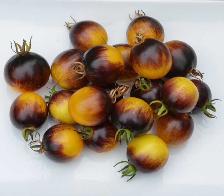 Brown Yellow Tomato Seeds
