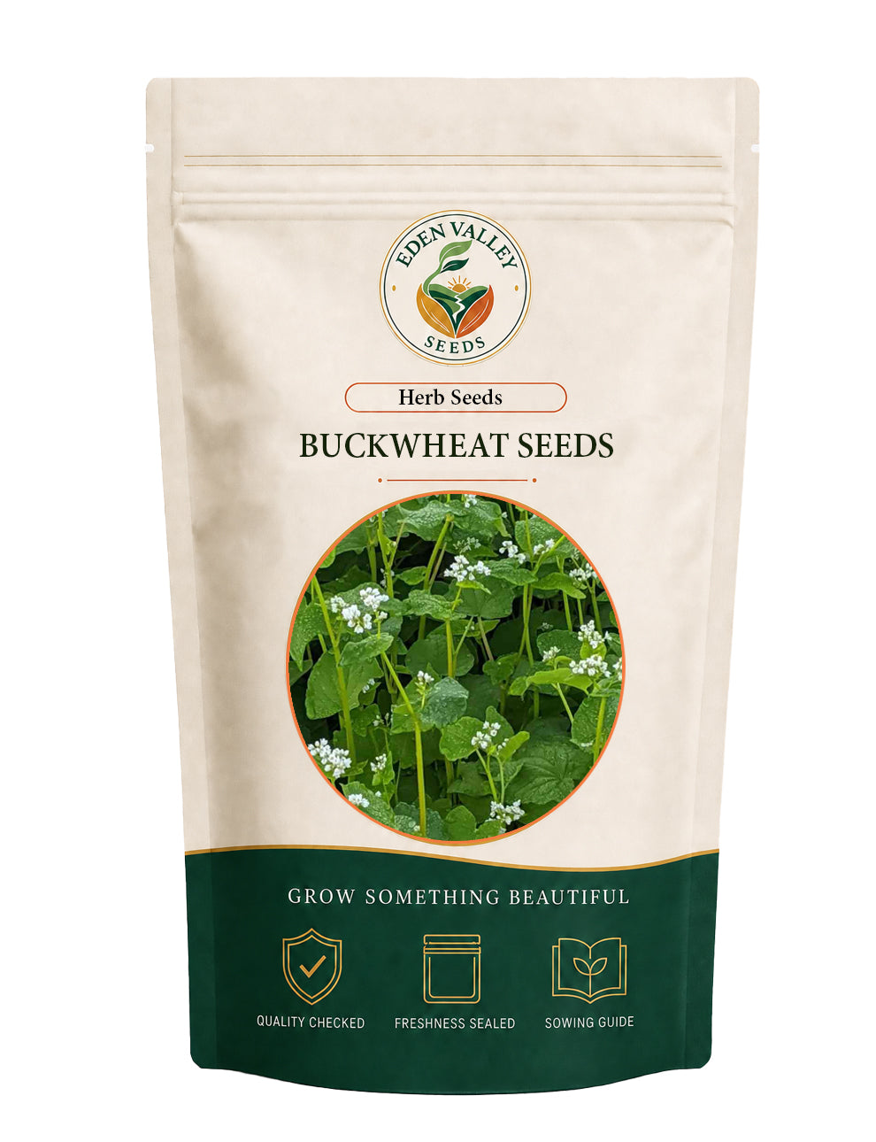 Buckwheat Seeds with green foliage and small white blossoms for garden planting