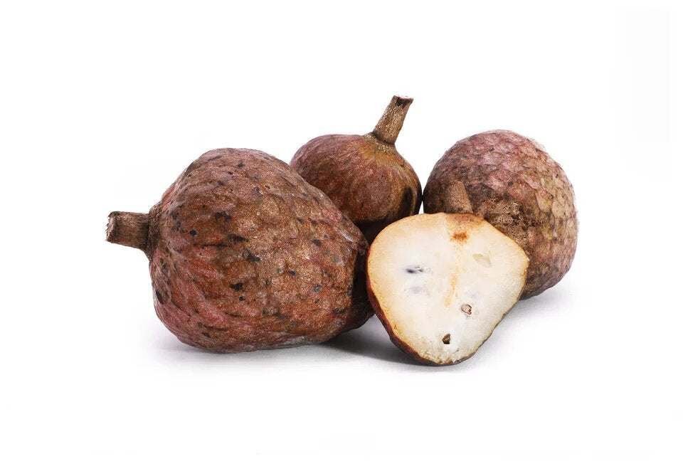 Ramphal fruit seeds for planting, Annona reticulata tropical fruit tree seeds