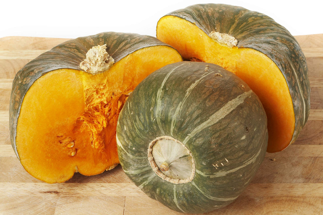 Buttercup Burgess Winter Squash Seeds