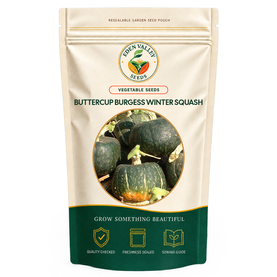 Buttercup Burgess Winter Squash Seeds for planting