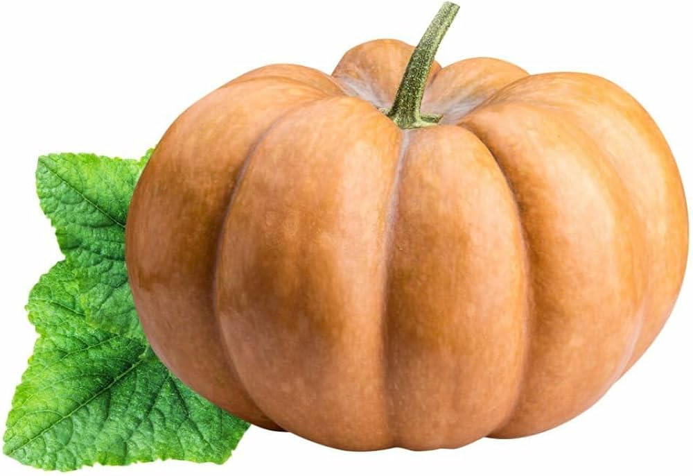 Calabaza Pumpkin Seeds