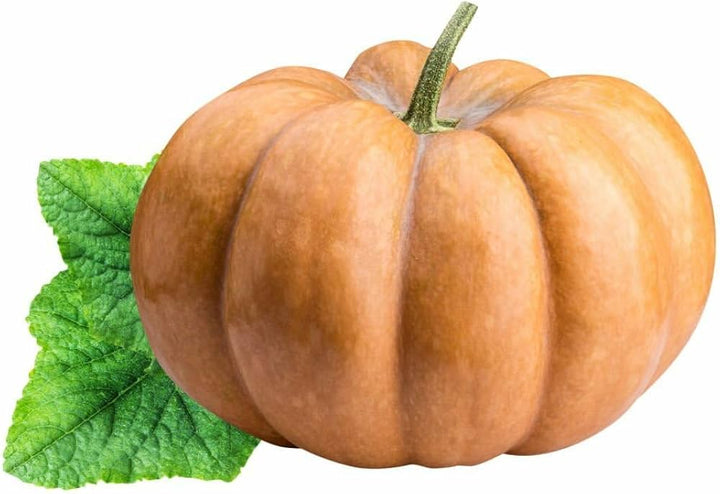 Calabaza Pumpkin Seeds