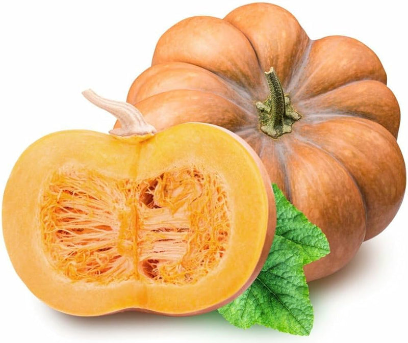 Calabaza Pumpkin Vegetable Seeds for Planting – Heirloom Non-GMO Garden Seeds