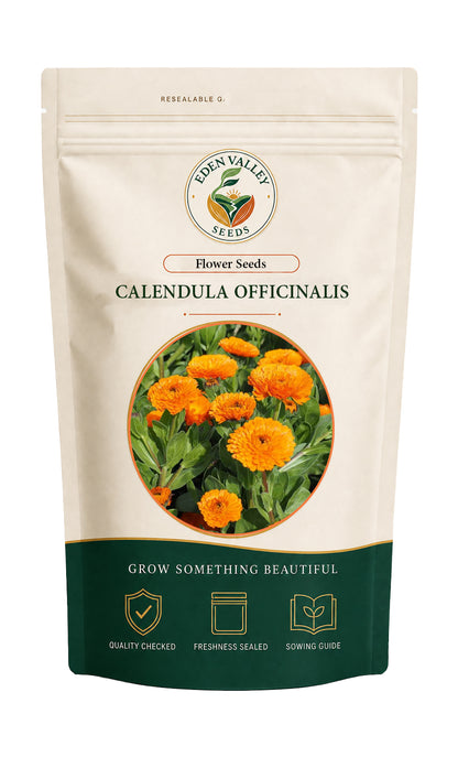 Calendula Officinalis Flower Seeds for planting