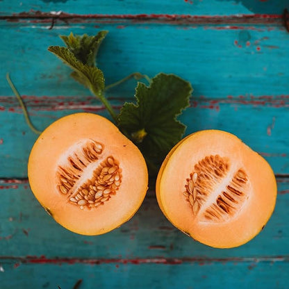 Cantaloupe Cucumis melo Fruit Seeds for Planting – Sweet Melon Seeds
