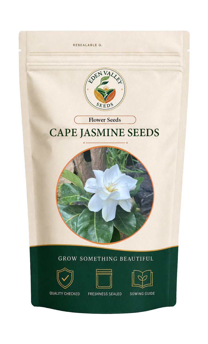 Cape Jasmine Gardenia Flower Seeds for home gardens