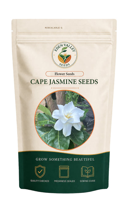 Cape Jasmine Gardenia Flower Seeds for home gardens