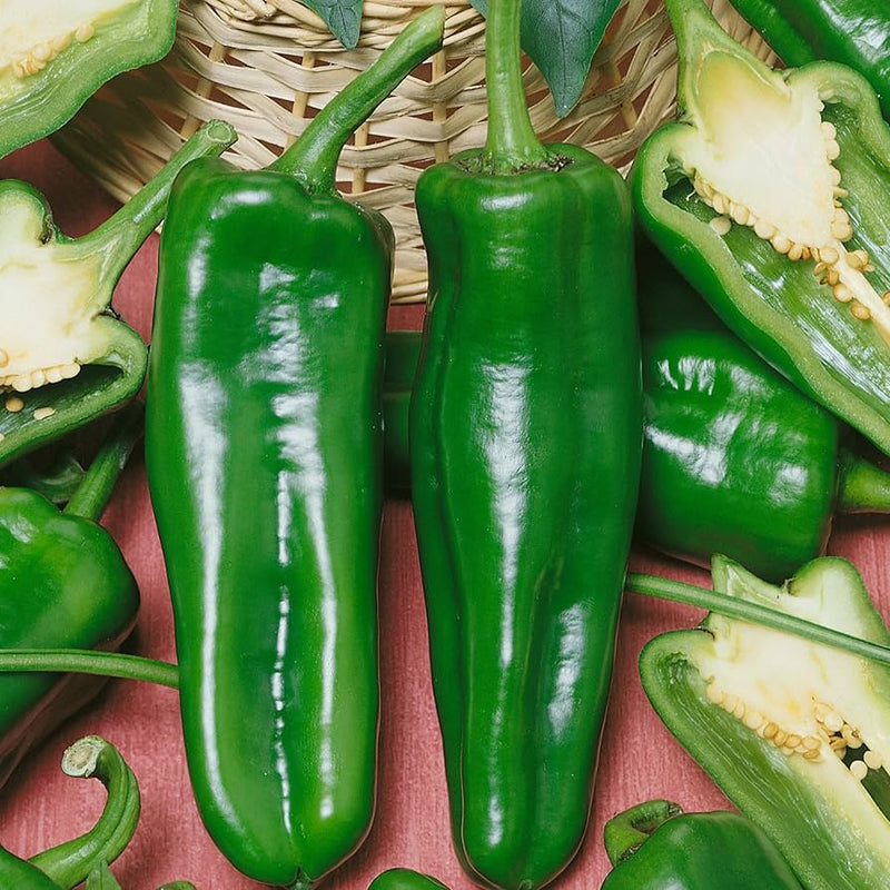 Italian Pepperoncini Pepper Vegetable Seeds for Planting – Heirloom Non-GMO Garden Seeds