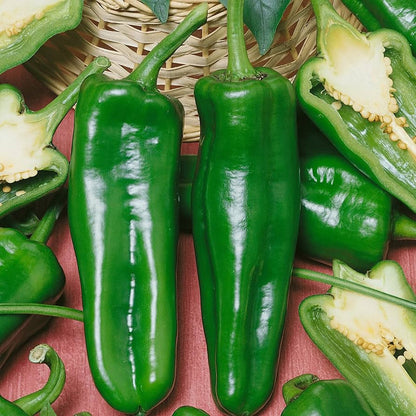Italian Pepperoncini Pepper Vegetable Seeds for Planting – Heirloom Non-GMO Garden Seeds